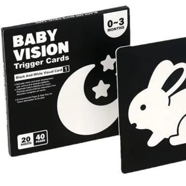 Early Education Visual Card